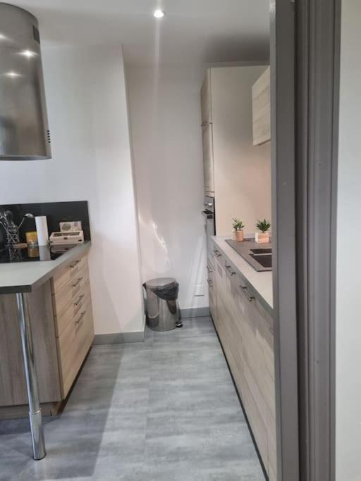 L'Ourse, Epinal,Tres Bel Appartement Quartier Port Luaran gambar