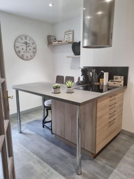 L'Ourse, Epinal,Tres Bel Appartement Quartier Port Luaran gambar